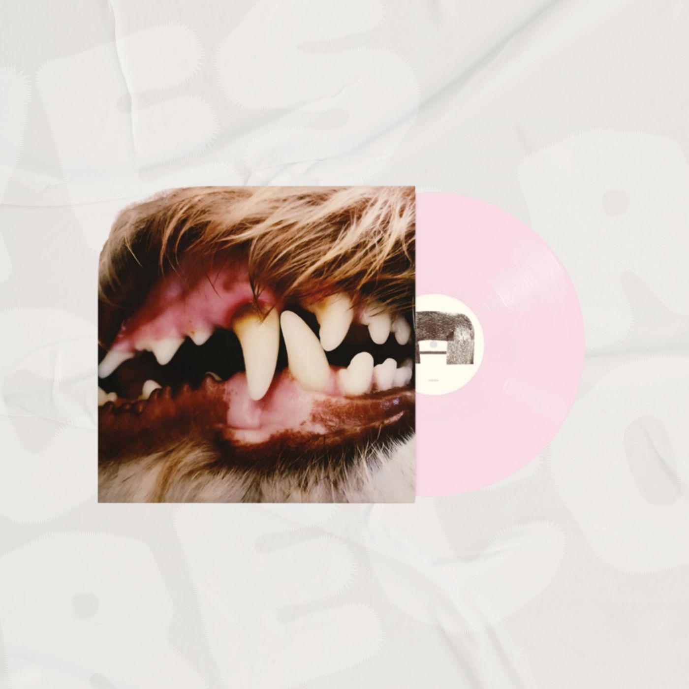 Lucius Indie Exclusive Signed Opaque Sugar Rush Pink LP