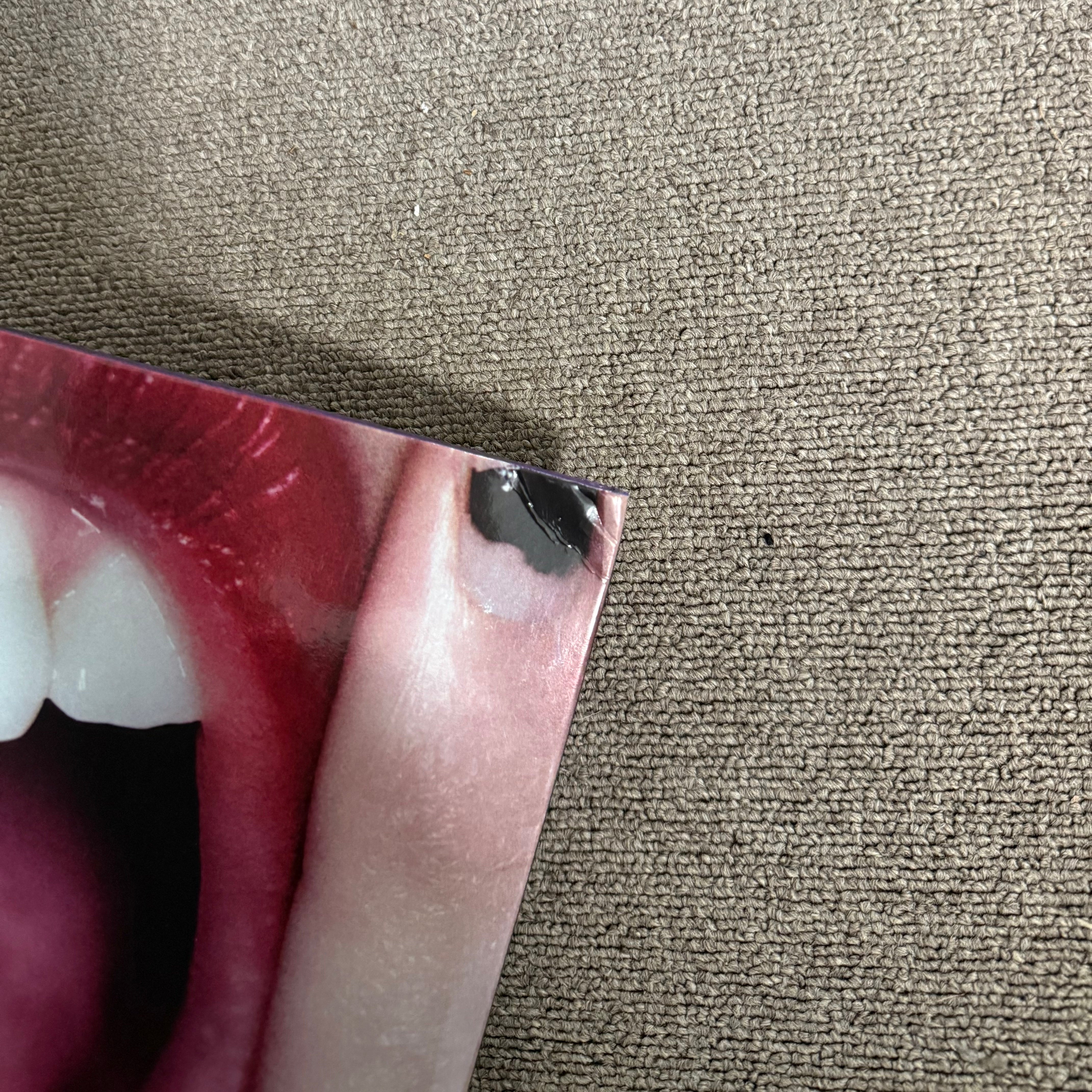 GUTS (Spilled) Deluxe Zoetrope Picture Disc 2LP (Damaged)